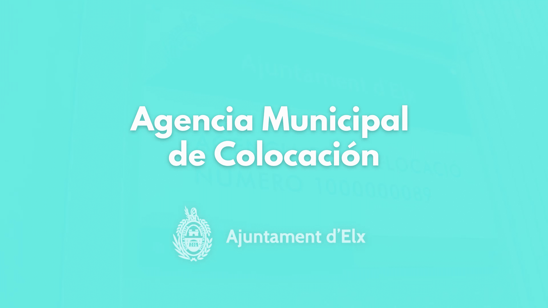 Agencia de Colocación